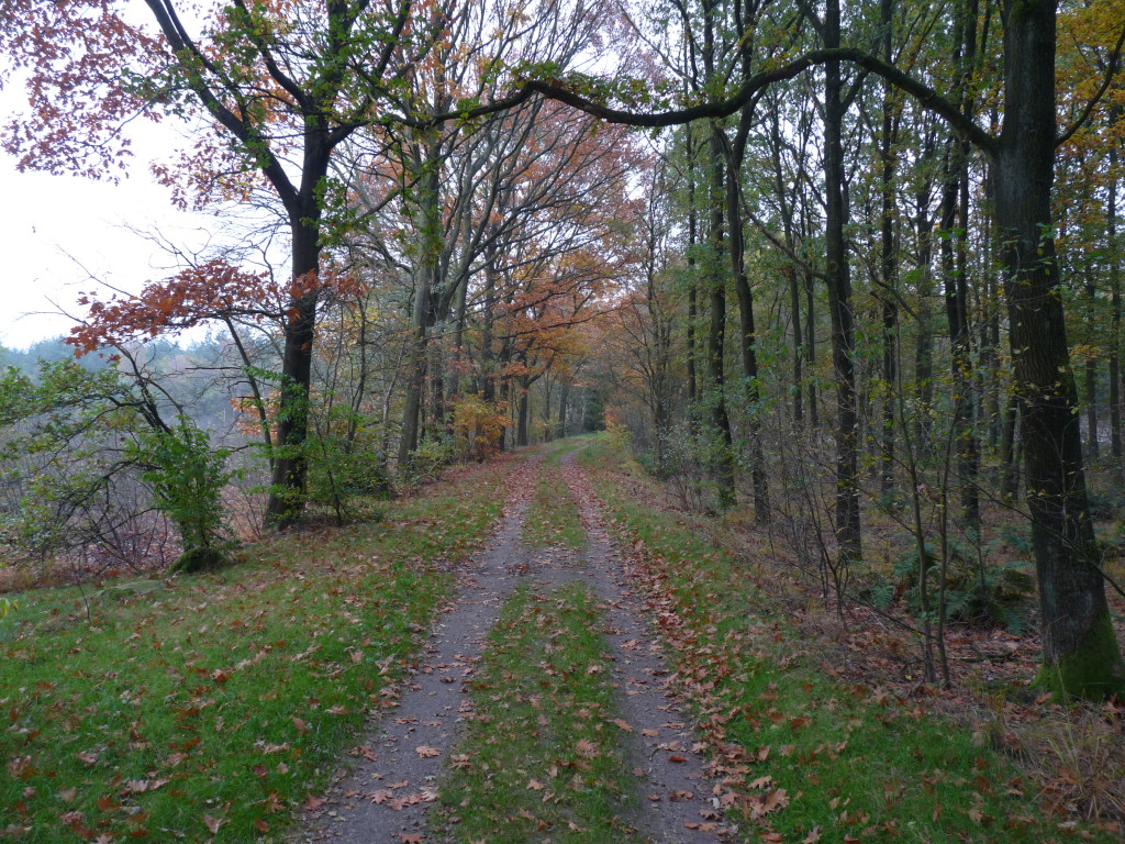 Spuren auf dem Weg zwischen Westerbork und Hooghalen